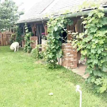 Appartement Oereghaz Vendeghaz *